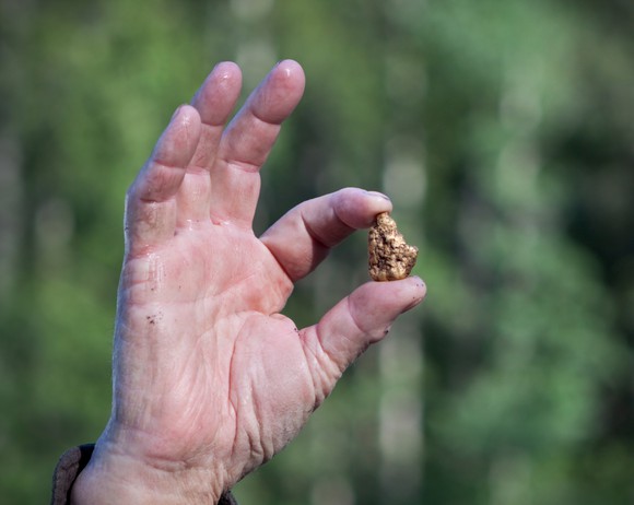 A gold nugget held between a thumb and forefinger.