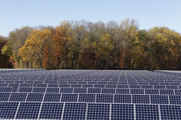 Utility scale solar farm with trees and a blue sky in the background.