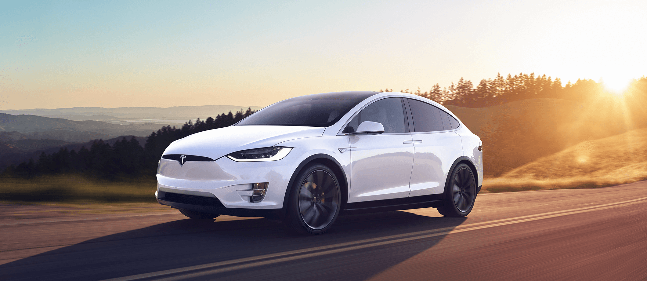 A white Tesla Model X can driving down a sun-drenched road.