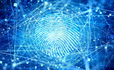 digital fingerprint cloud identity cropped