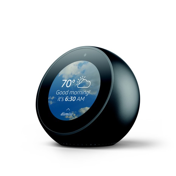 Rendering of Echo Spot on white background