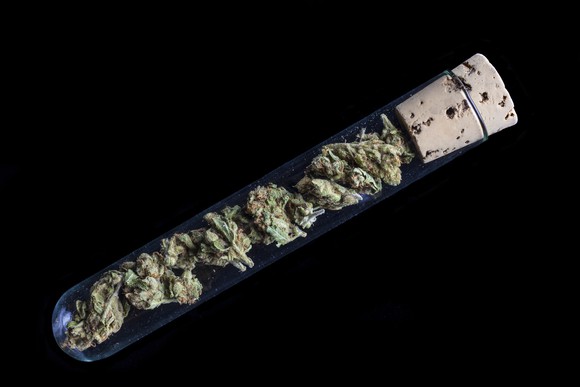 Marijuana buds in a clear test tube, held shut with a cork.