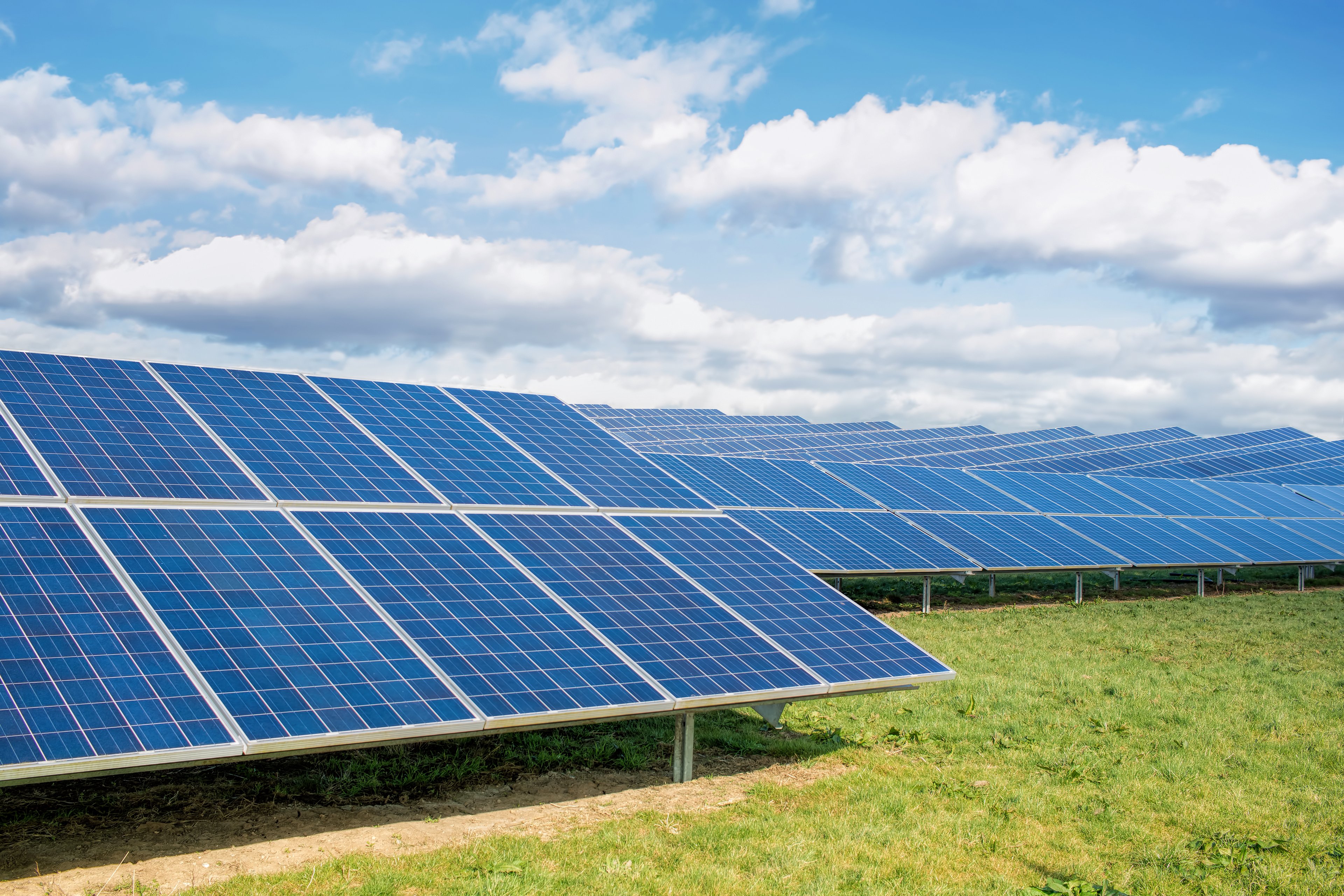 Solar panels in a fixed tilt installation in a grassy field.
