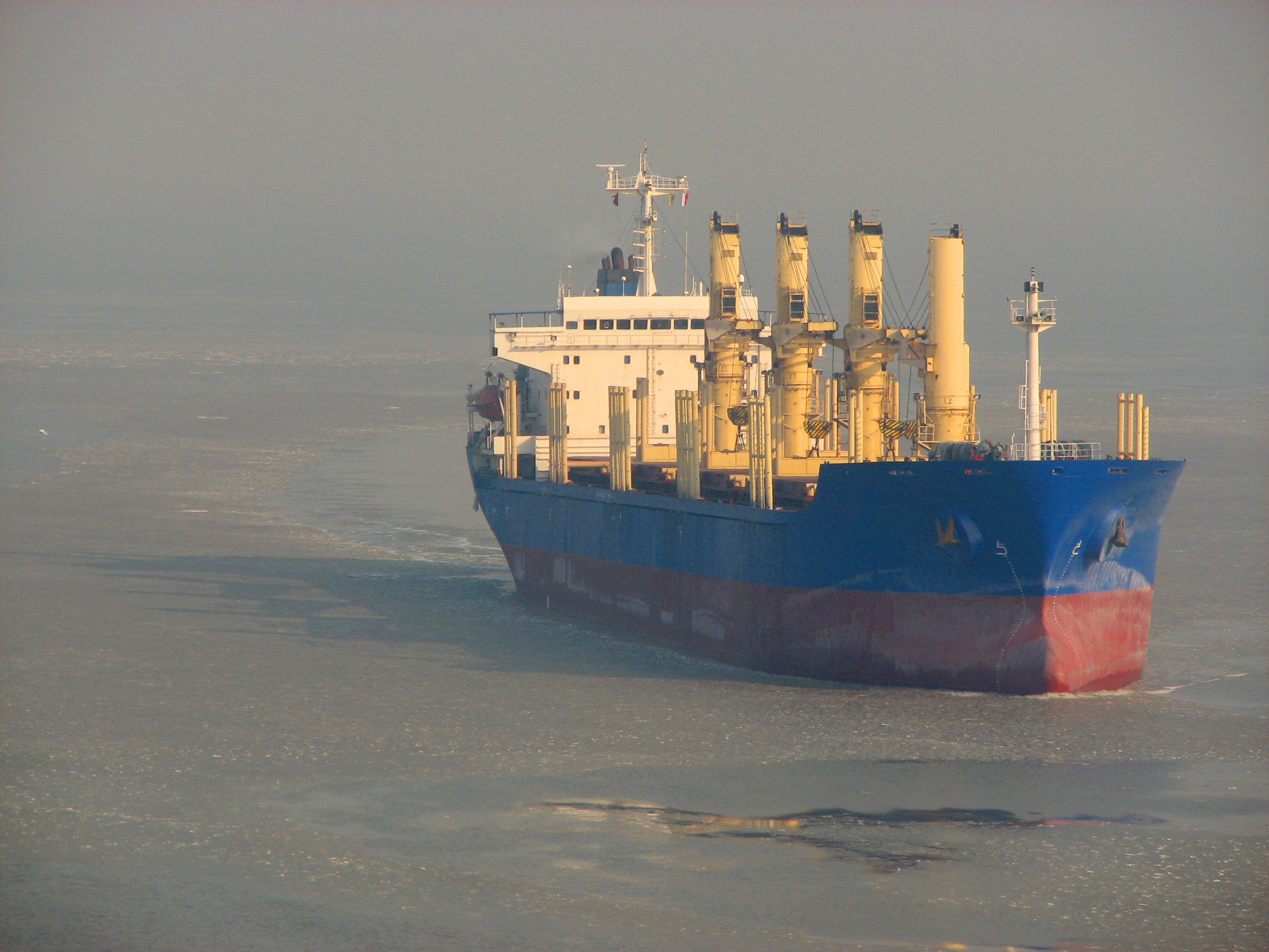 Dry bulk cargo ship