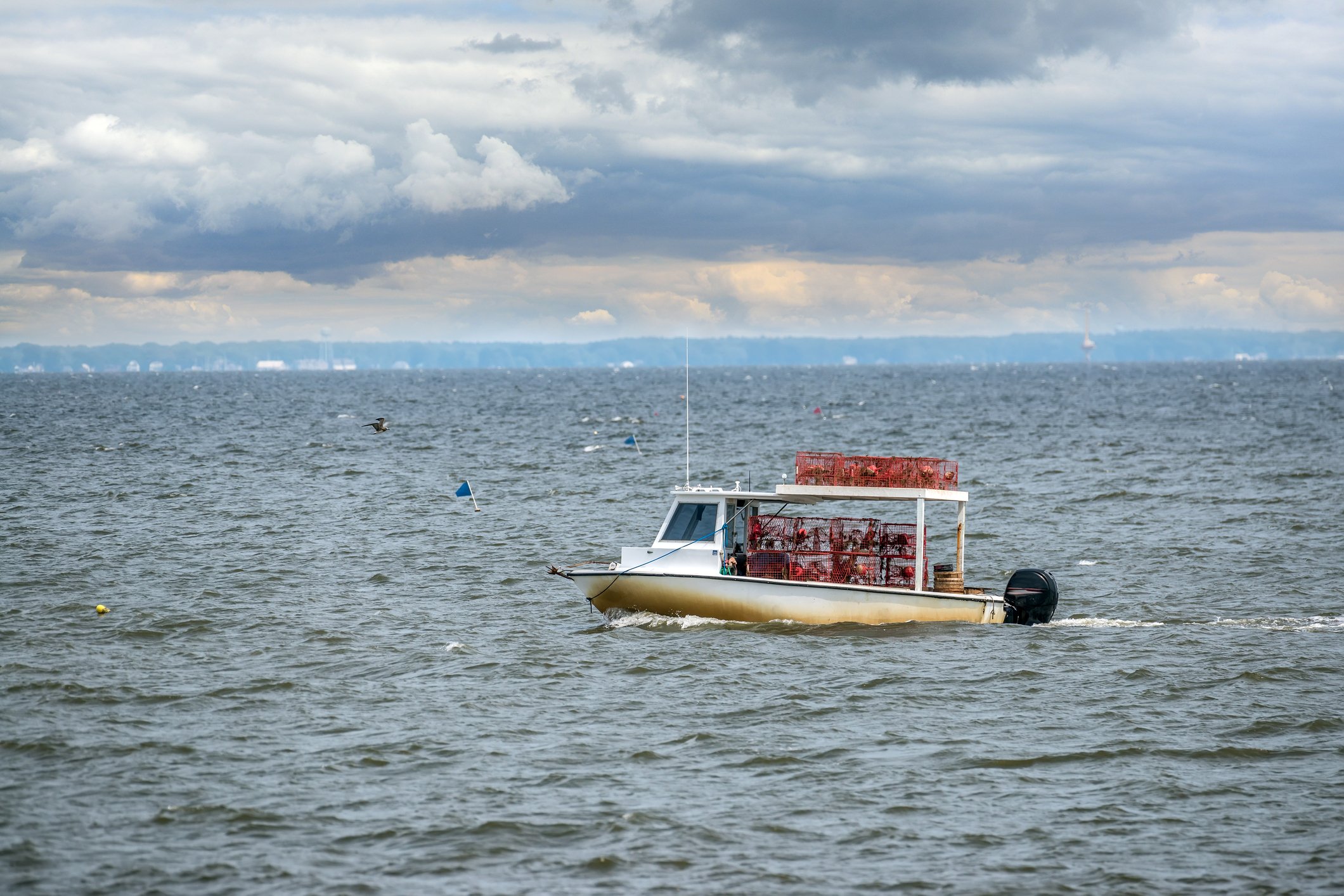 Crab boat on Chesapeake Bay.
