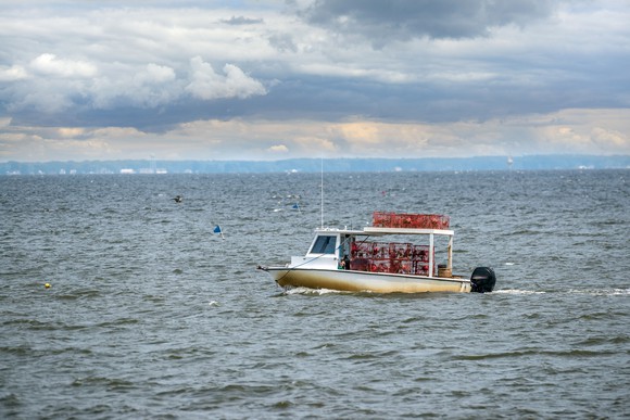 Crab boat on Chesapeake Bay.