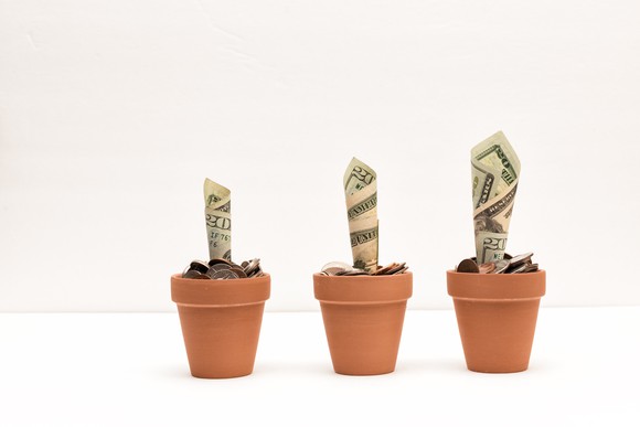 Money pretended to be planted in pots and growing like flowers.