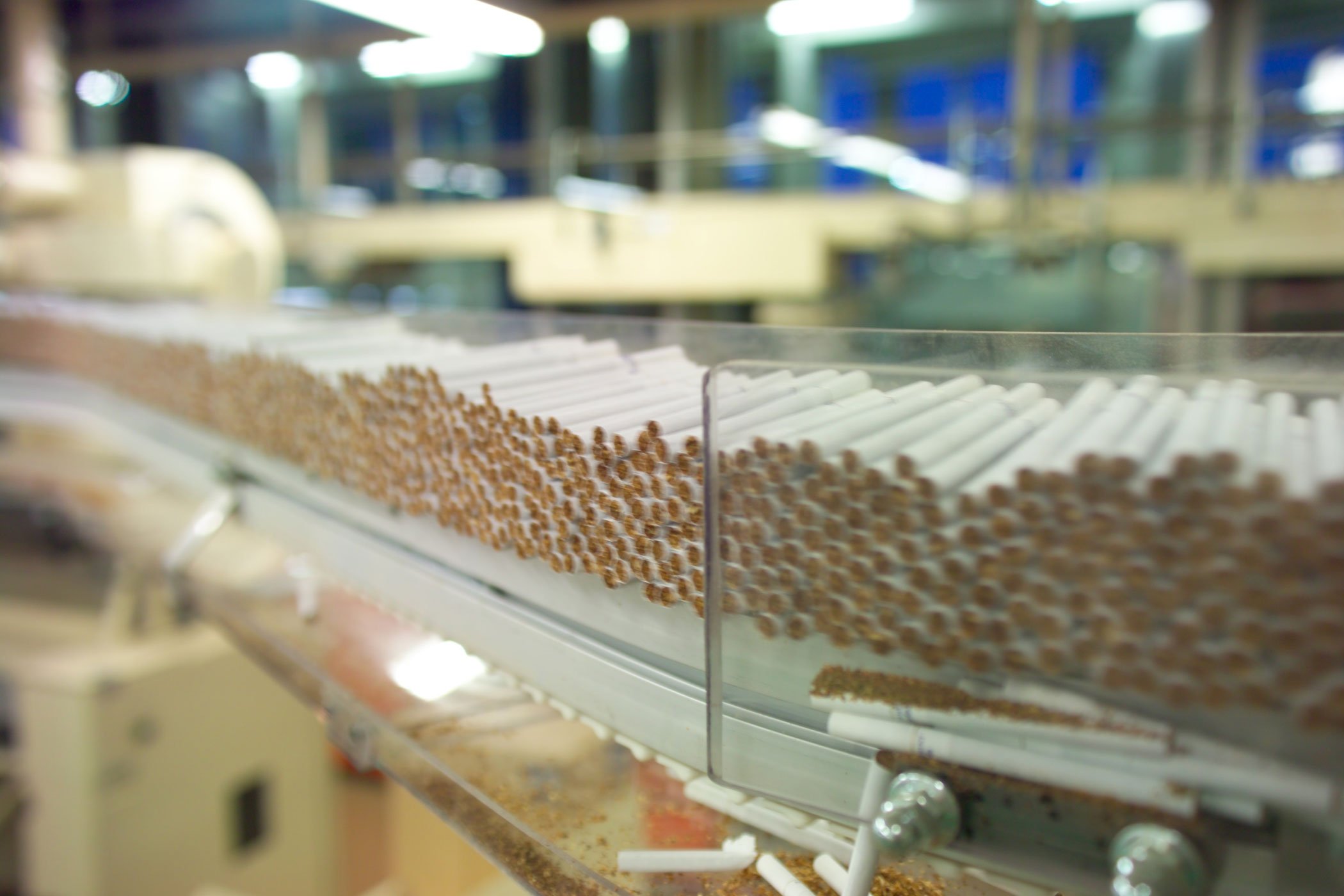 Cigarettes moving on an assembly line in a factory.