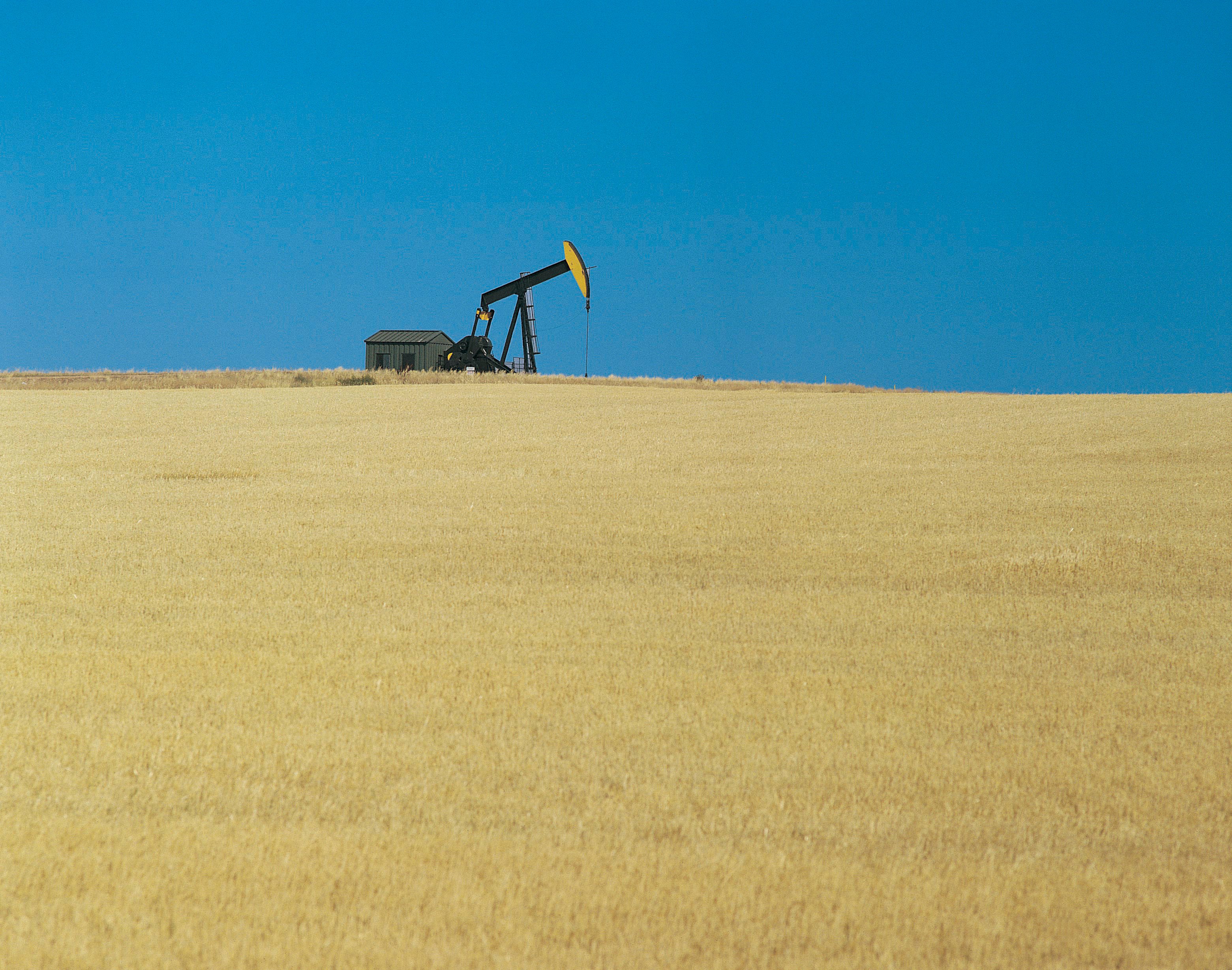 An oil pump in a field