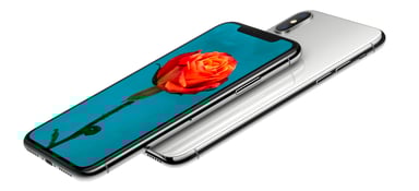 iPhone X side flower