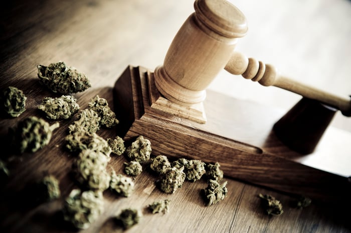 Cannabis buds next to a judge's gavel. 