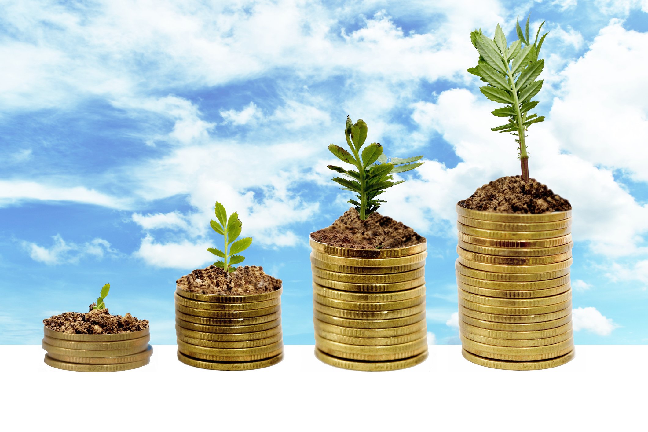 Stacks of gold coins sprouting trees