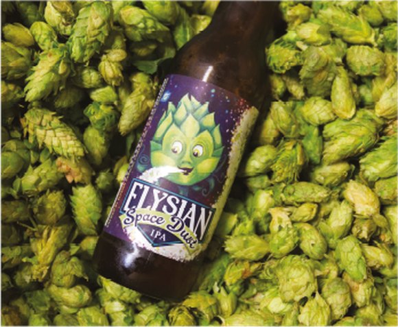 A bottle of Elysian Space Dust IPA, with its picture of a hop in outer space, displayed in a pile of green hops.