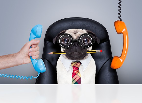 Dog in leather office chair with bowtie and goggle glasses and pencil in mouth, with phone receivers hanging by cords on either side.