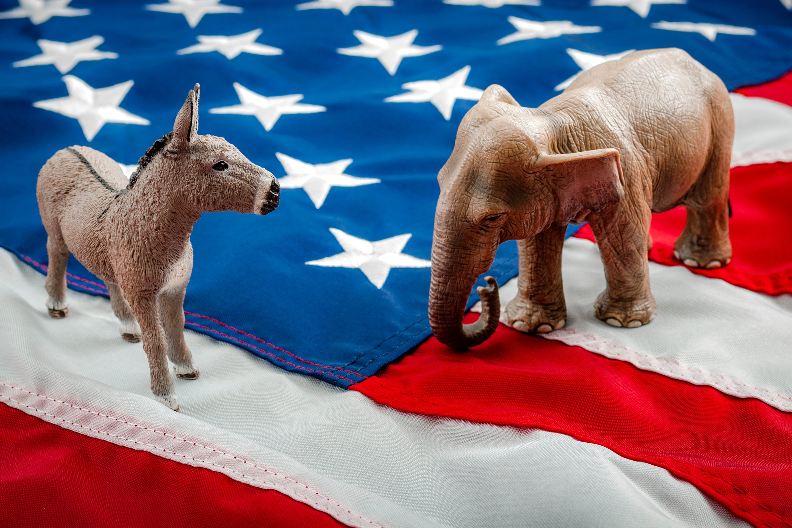 A Democrat donkey and Republican elephant squaring off while on top of the American flag. 