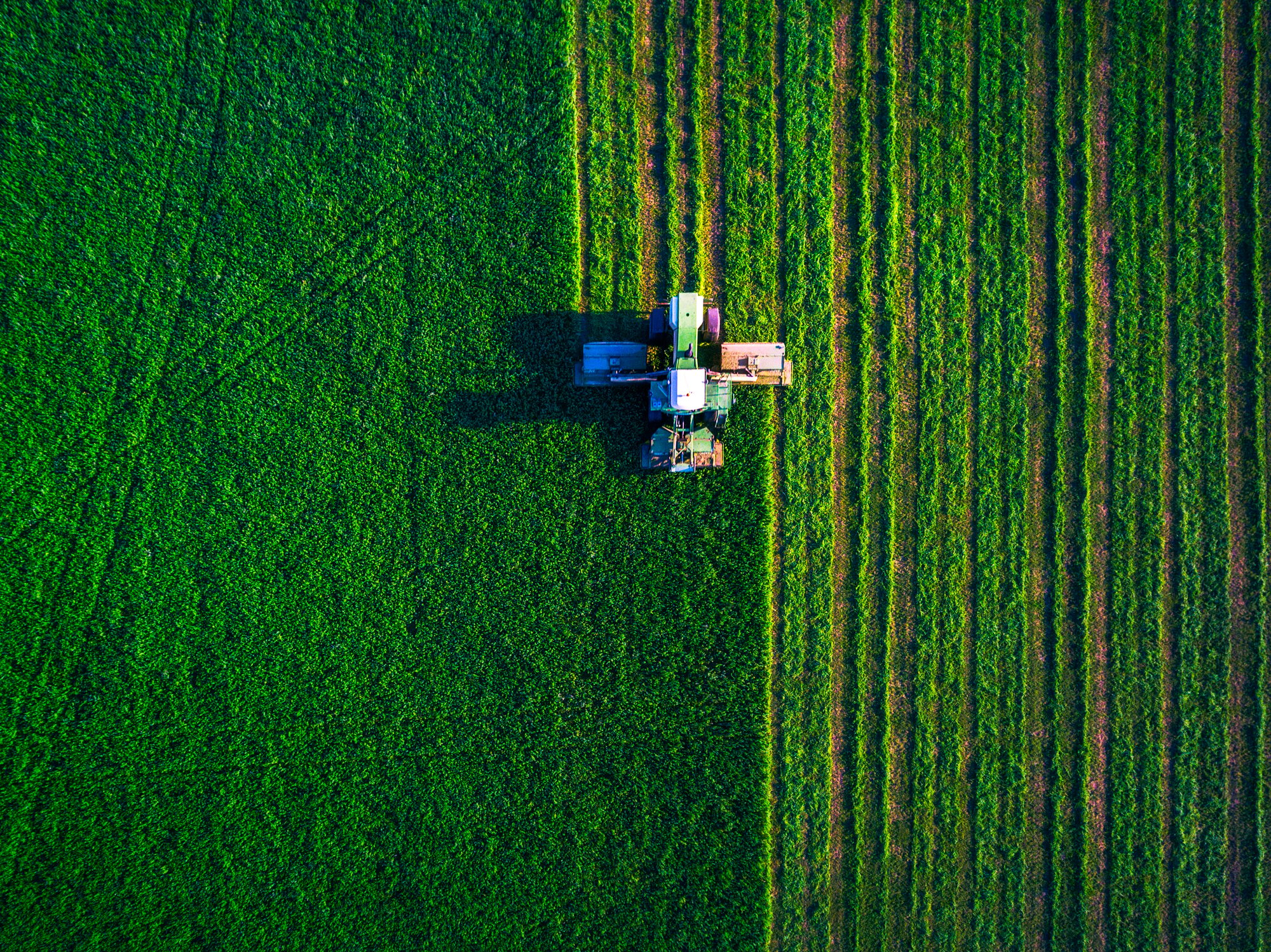 Farm