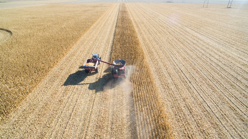 Tractor harvesting in a cornfield.