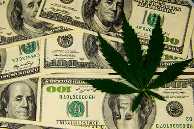 Cannabis leaf on hundred dollar bills