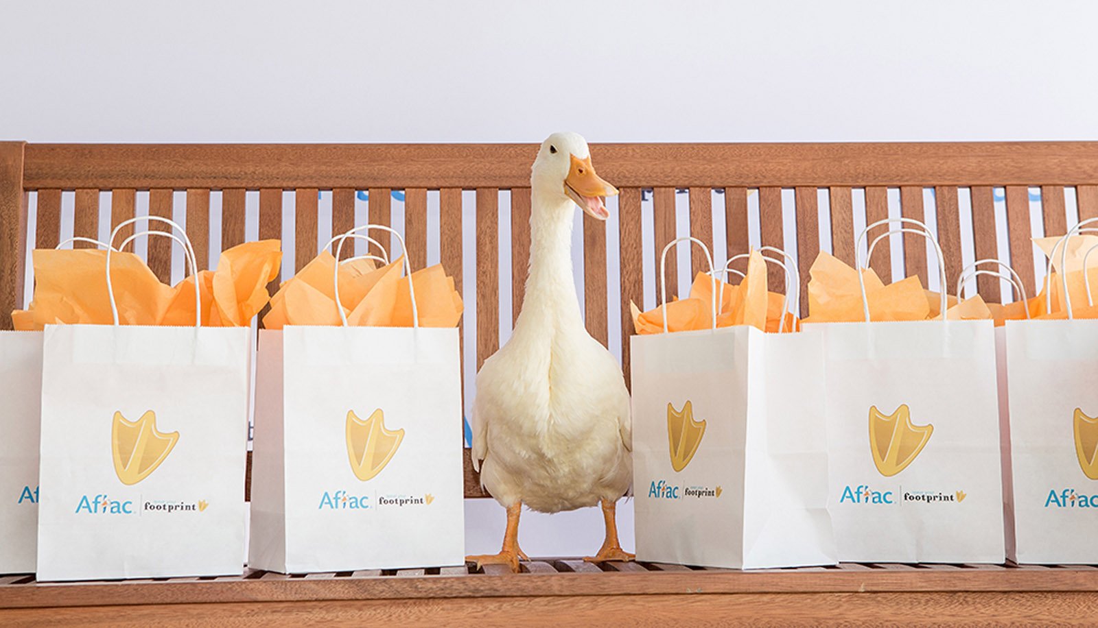 Aflac duck stand between Aflac shopping bags.