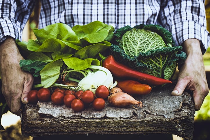Farmers hands shown holding a tray of organic produce.