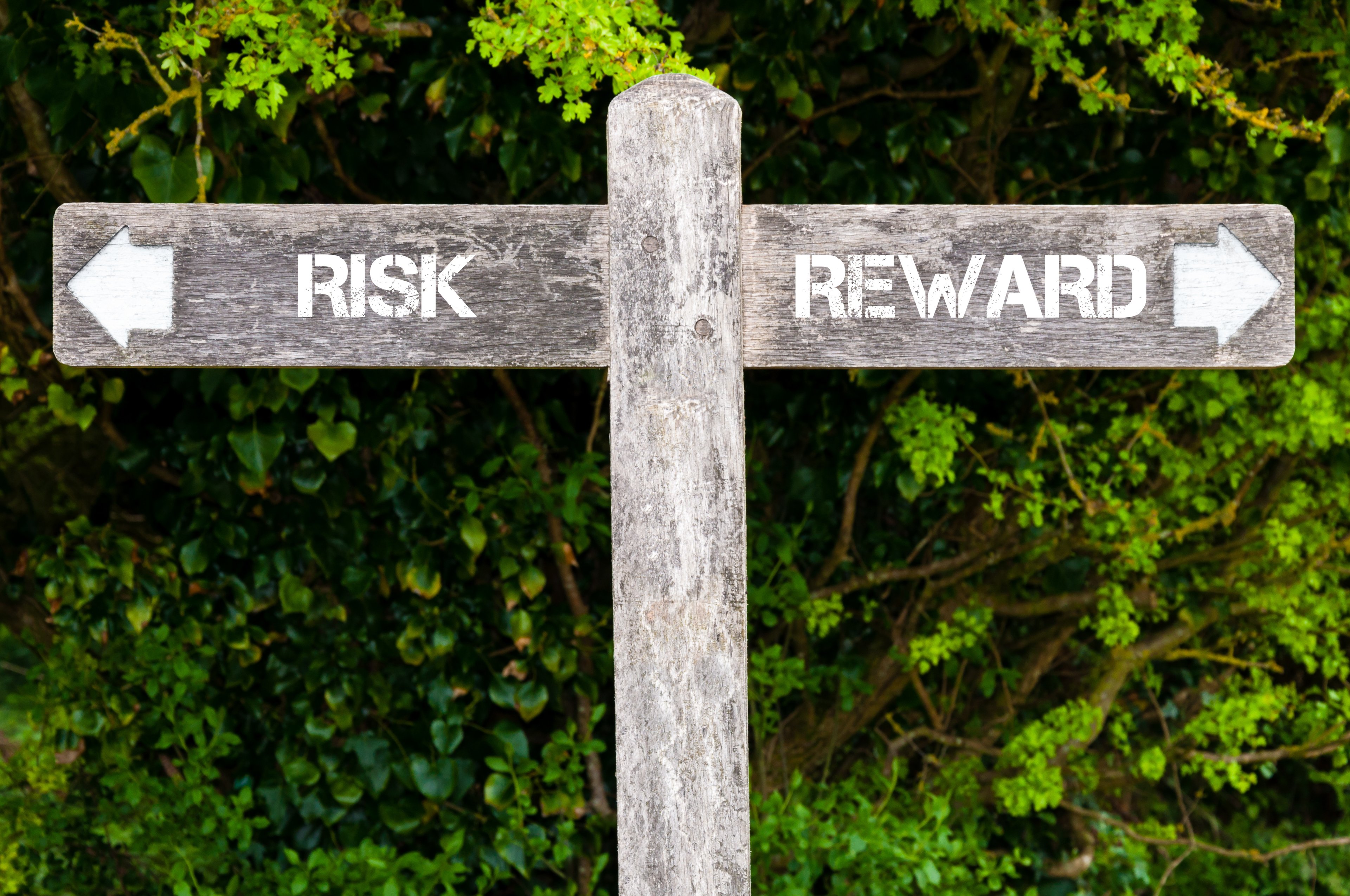 Wooden signpost with words risk and reward pointing in two different directions.