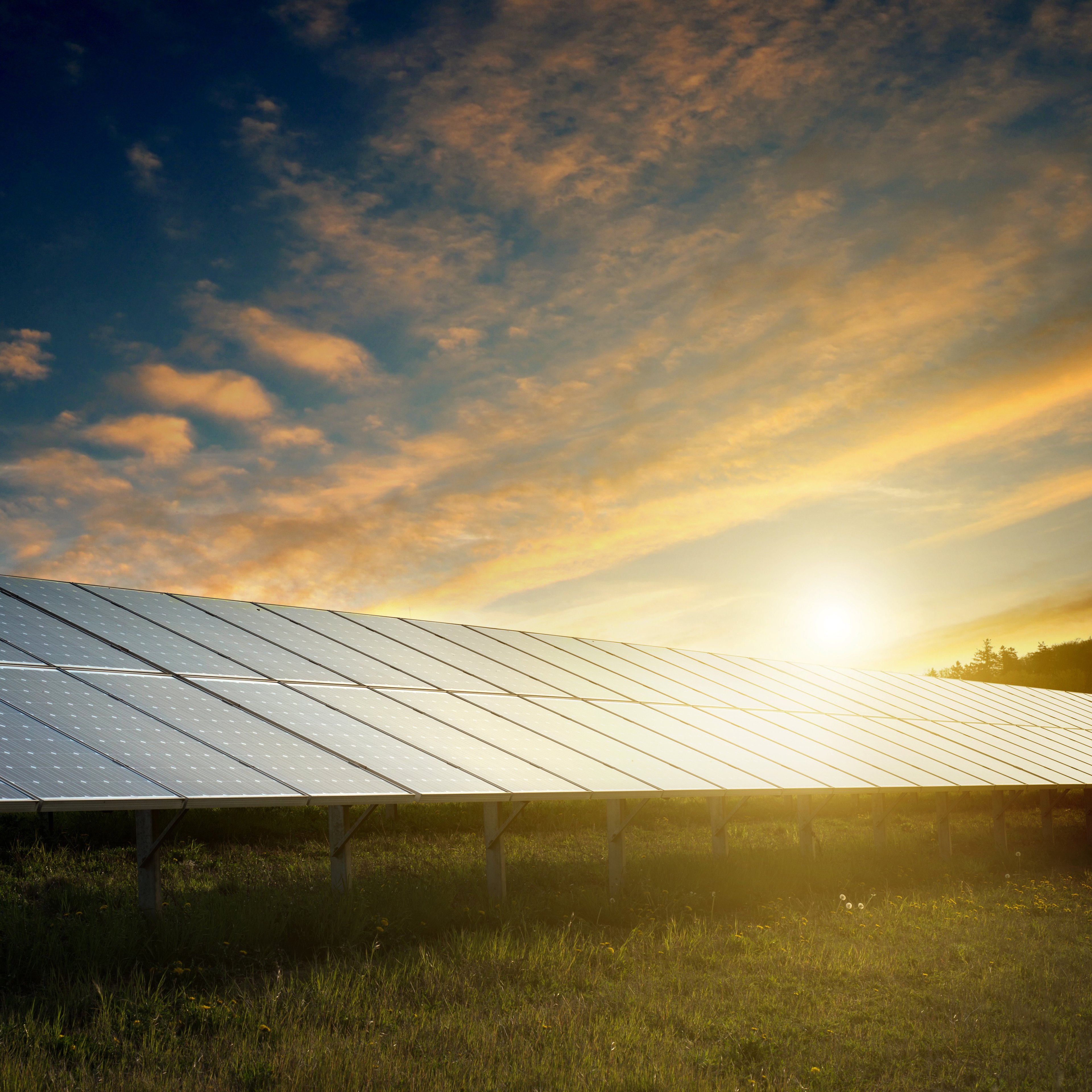 Large solar installation in a field.