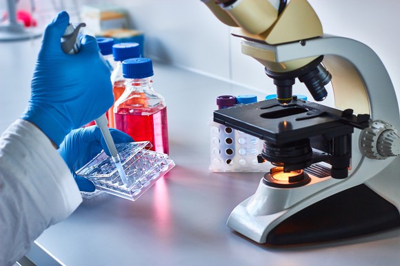 A worker in a lab prepares a test tube for use with a microscope.