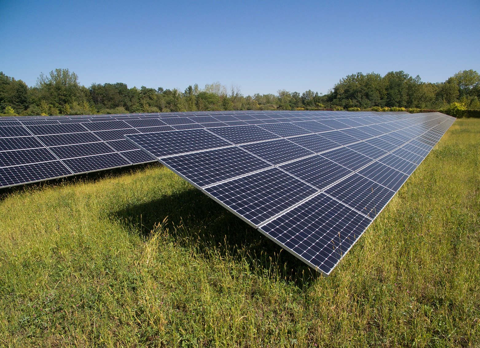 Utility scale solar installation in a grassy field. 