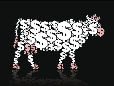 Cash cow