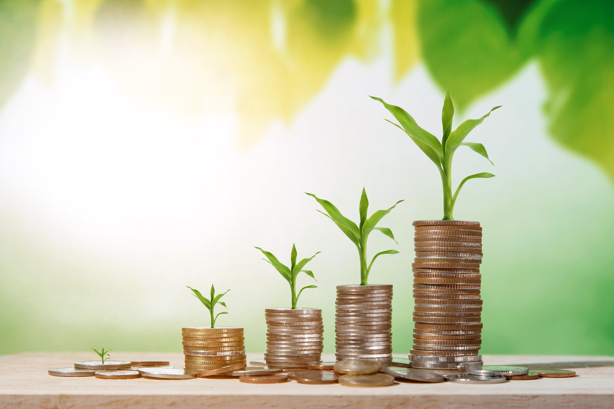 Stacks of coins with plants growing out of them