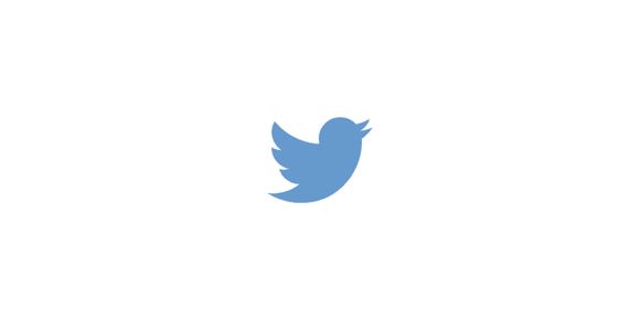 Twitter's blue bird icon
