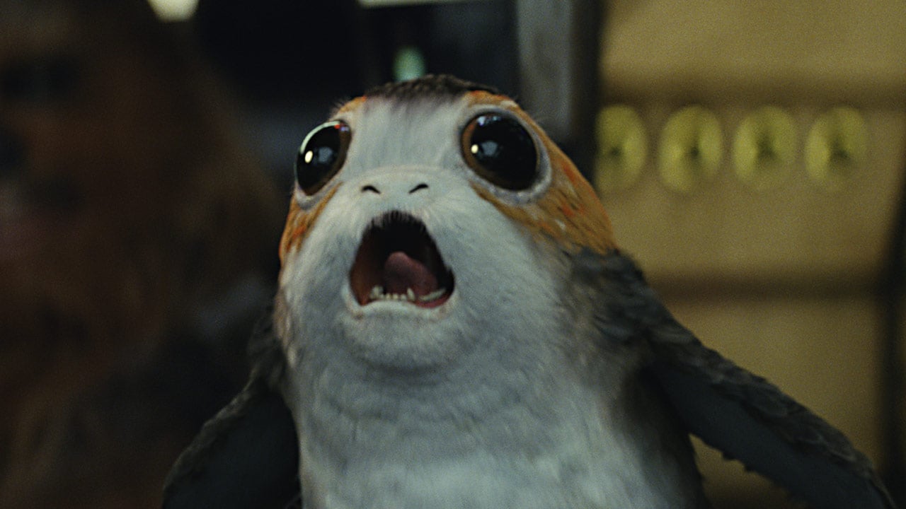 A Porg, a small bird-like creature from The Last Jedi, with a surprised expression on its face.