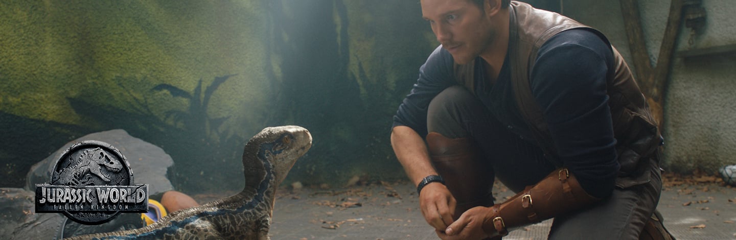 Actor Chris Pratt crouches besides a baby velociraptor dinosaur.