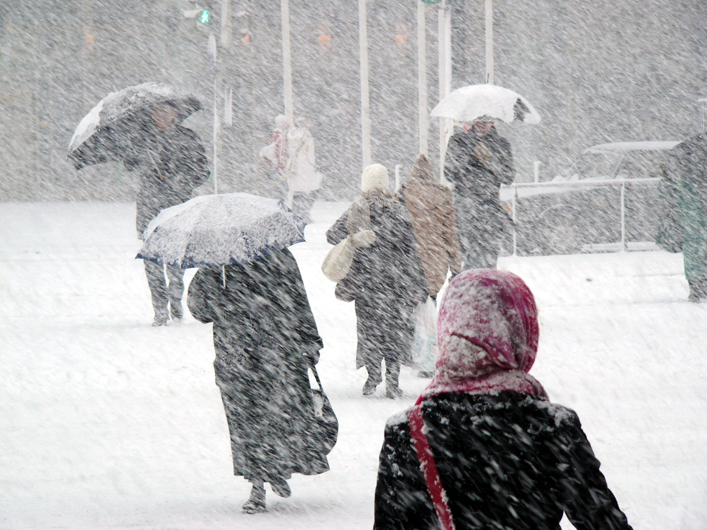 People walking in a snowstorm