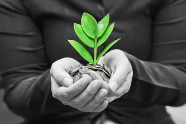 Growth-GettyImages-479610911