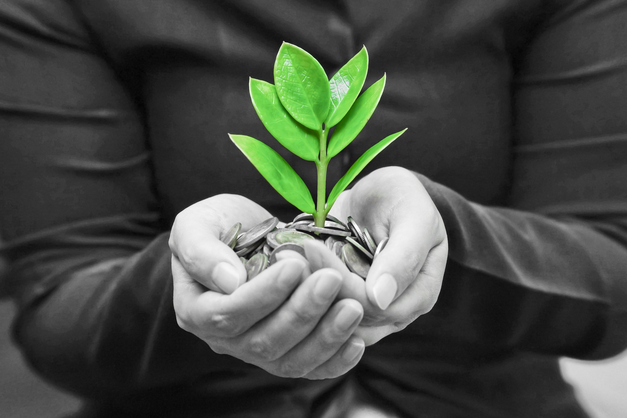 A person holding coins in his hand with a green plant growing from it.