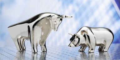 bull