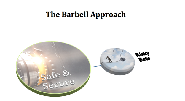 Visual representation of the barbell approach