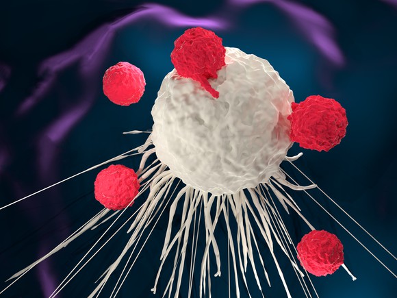 T cells surrounding a cancer cell.
