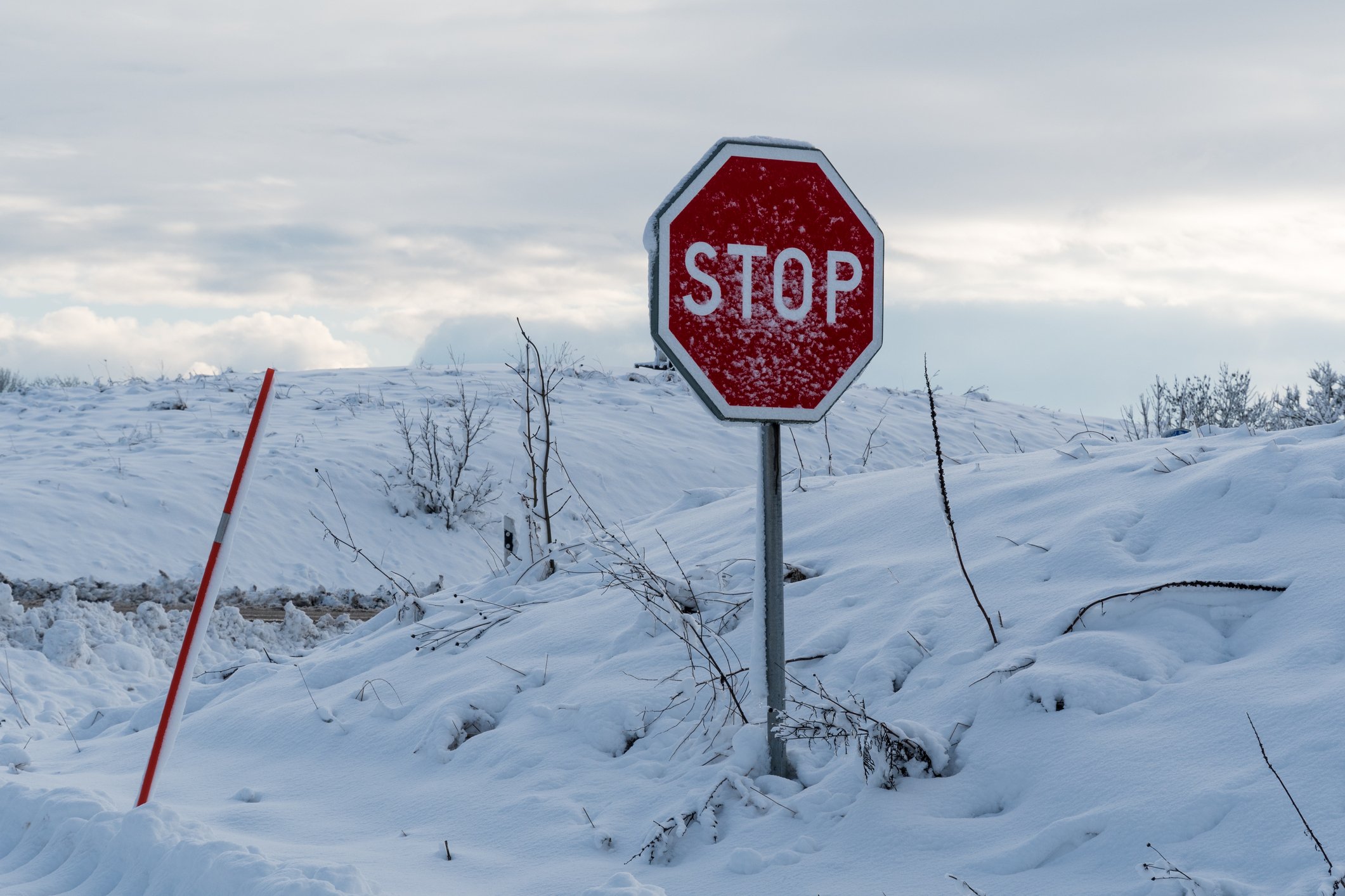 Image shows a stop sign in the snow.