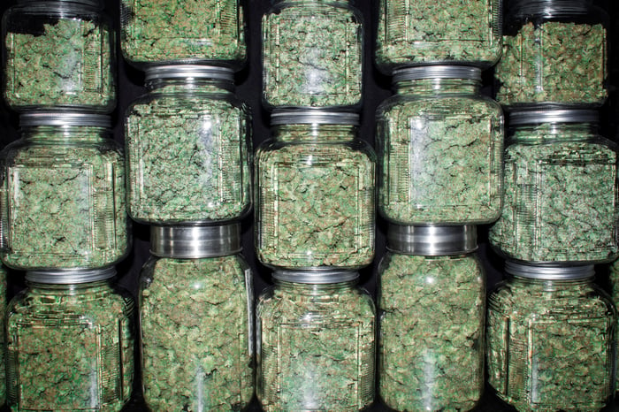 Jars filled with dried cannabis stacked on top of the other. 