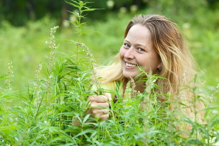 A smiling woman in a field of cannabis plants. 