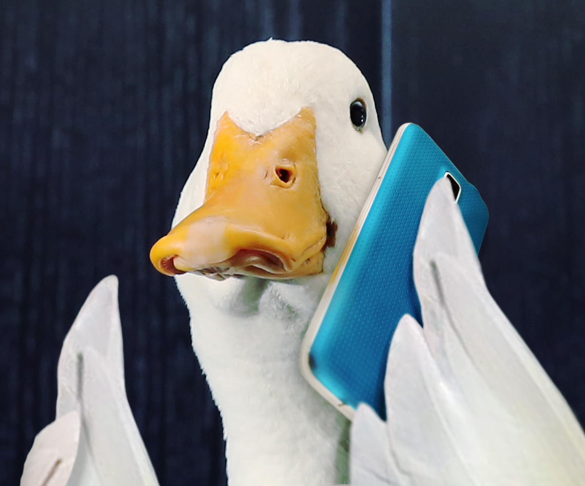 Aflac spokesduck holding blue mobile phone.