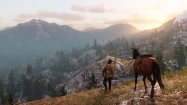 Red Dead Redemption 2 screen shot 3