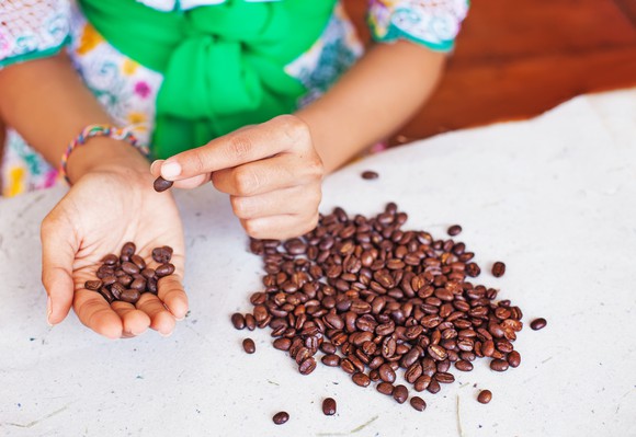 A coffee farmer separating beans by grade. 