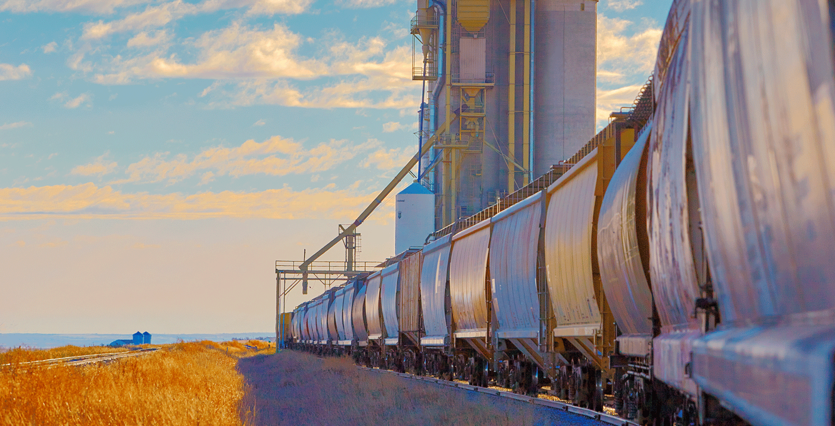 CSX train going on track next to grain elevator along a colorful grass field.