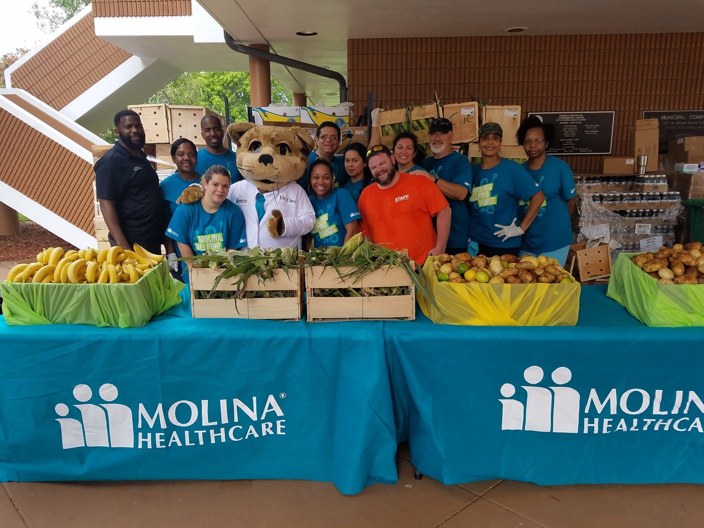 Volunteers with fruits and vegetables at tables featuring Moline Healthcare's logo.