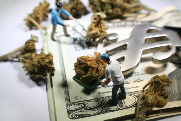 Tiny figures of people pushing marijuana buds in wheelbarrows on top of money