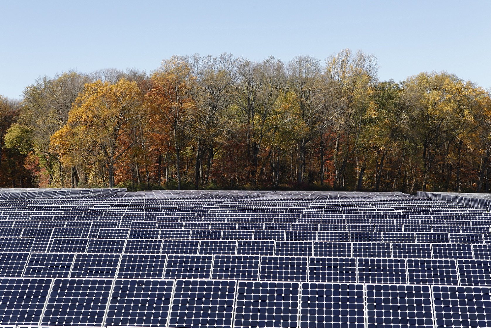 Solar farm with trees in the background. 