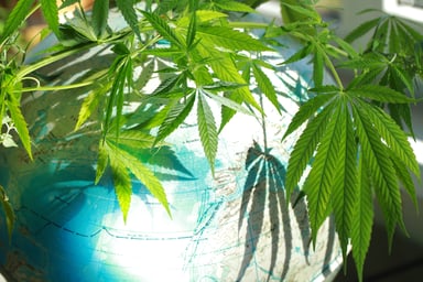 Marijuana and globe